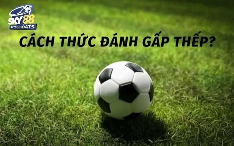 Cược Gấp Thếp Là Gì? Chiến Lược Và Rủi Ro Cược Gấp Thếp 3 Cược gấp thếp