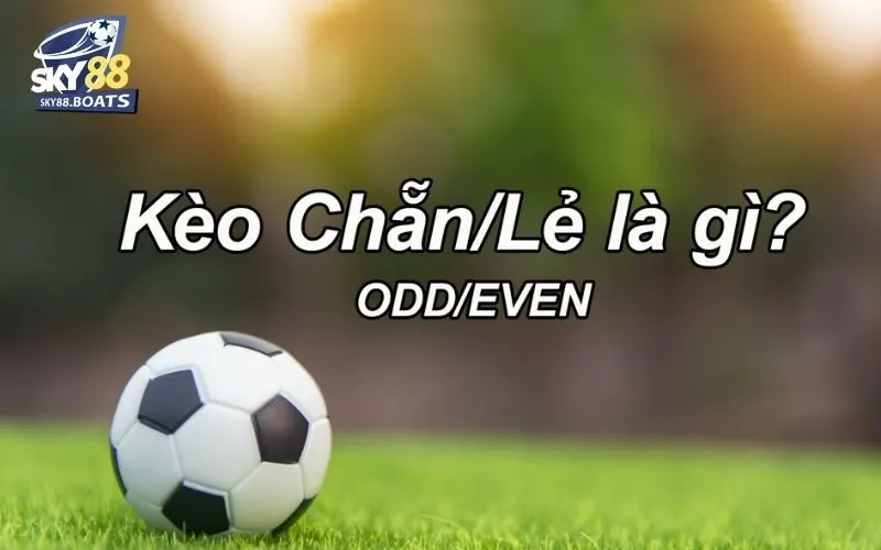 Soi Kèo Chẵn Lẻ Sky88: Chiến Lược Hiệu Quả Tỷ Lệ Thắng Cao 4 Soi kèo chẵn lẻ