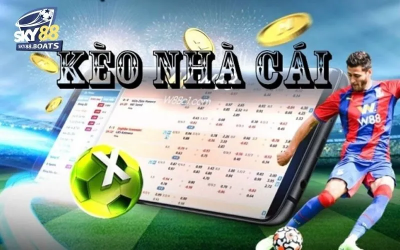 Soi Kèo Nhà Cái Hôm Nay - Dự Đoán Chính Xác, Tỷ Lệ Thắng Cao 2 Soi kèo nhà cái