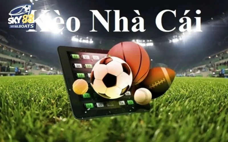 Soi Kèo Nhà Cái Hôm Nay - Dự Đoán Chính Xác, Tỷ Lệ Thắng Cao 3 Soi kèo nhà cái